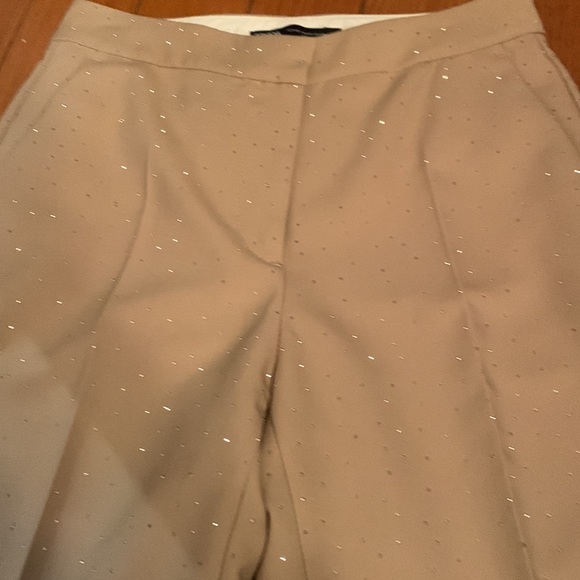 Sparkly Zara pants - Picture 6 of 11